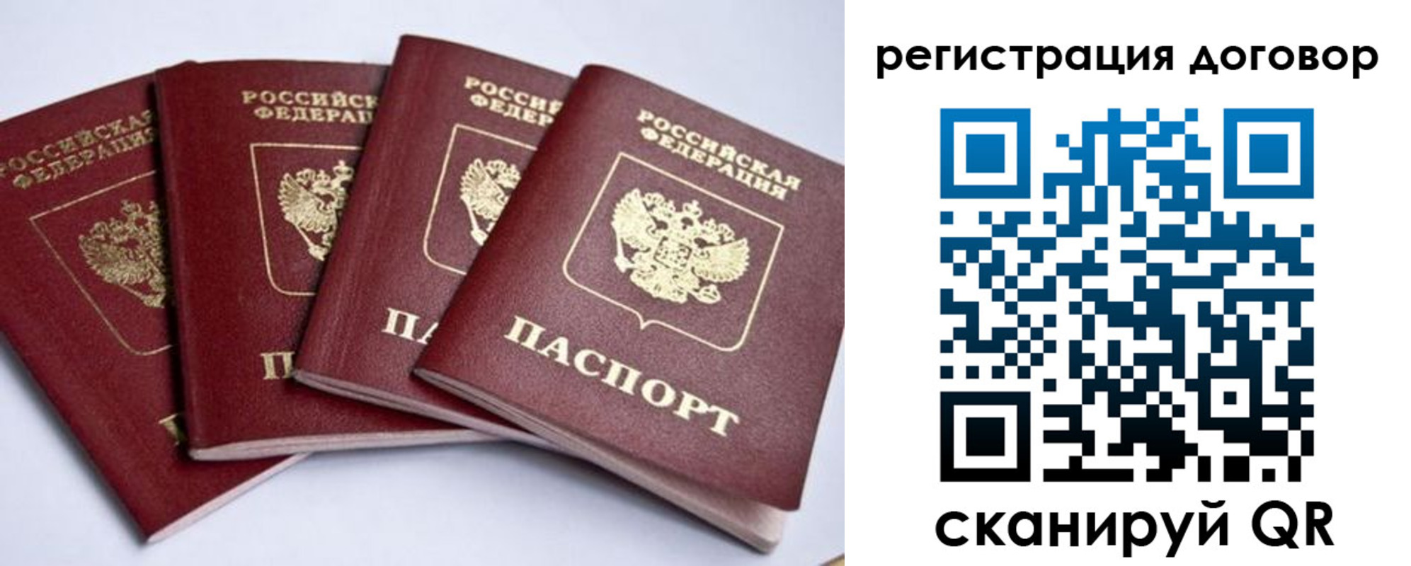 прописка поиск в Егорьевске